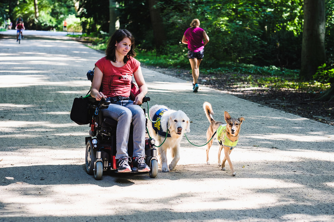 Frau im Rollstuhl mit zwei Behinderten-Begleithunden